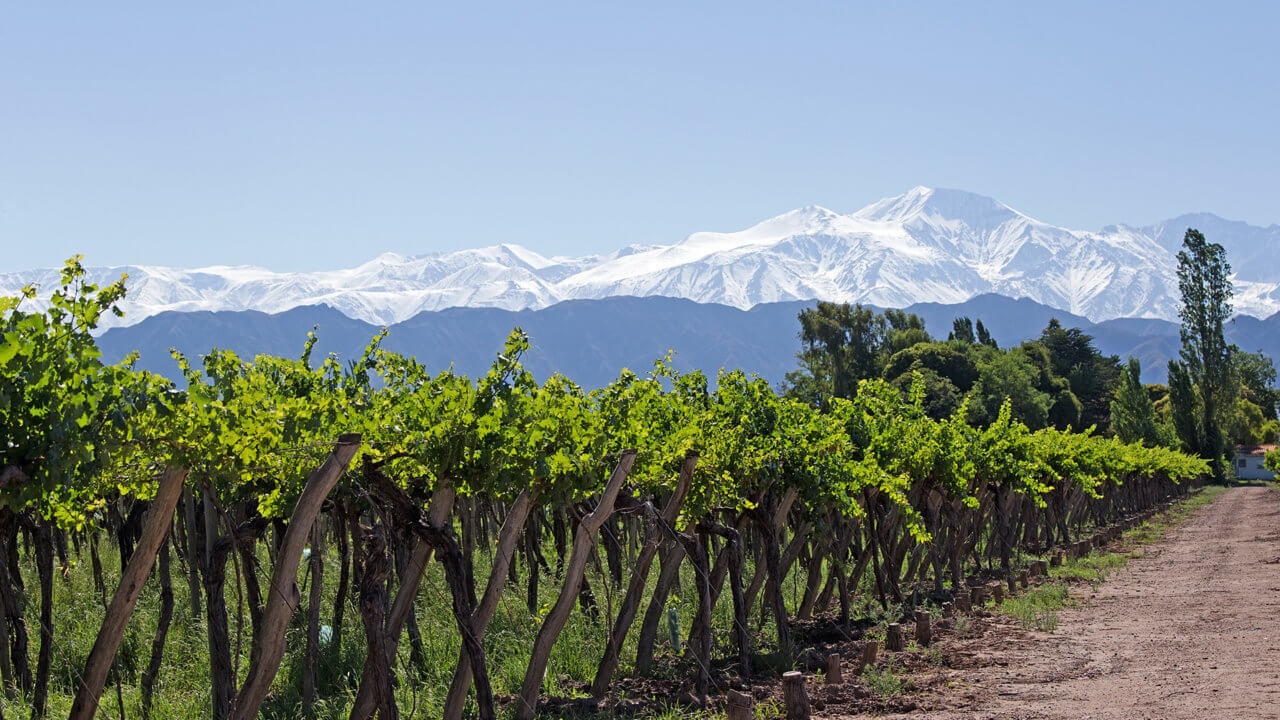 Das Weinland & vielfältige Rotweine Argentinien Weißweine erzeugt